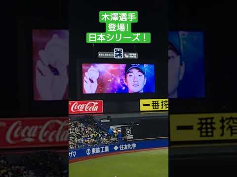 木澤選手登場 日本シリーズ 2022/10/22 ヤクルト オリックス 希望の轍