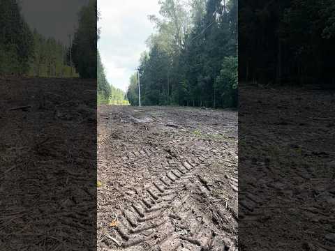 ЛЭП РАСЧИСТИЛИ, НАШЕЛ МЕЧТУ КЛАДОИСКАТЕЛЯ! #metaldetecting #находки #коп #находкисметаллоискателем