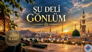 Şu Deli Gönlüm — Özgür Akçay kapak görseli