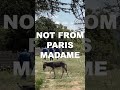 Расслабленный стиль с доставкой из Бургундии — вот что такое Drôle de Monsieur 🇫🇷