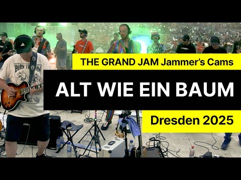 Alt wie ein Baum – THE GRAND JAM Dresden 2025