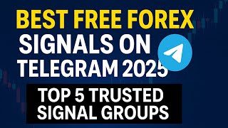 Are Telegram Forex Signals Legit? How to Avoid Scams in 2025