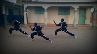 Chan Quan basic two by Smart boys martial art training center