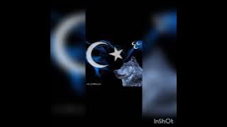 Уйгурские  песни