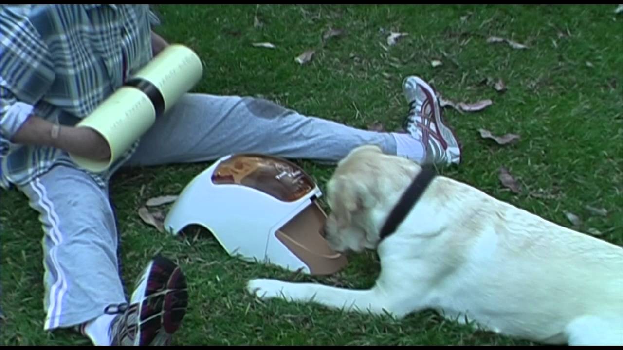 TREIBBALL TARGETING BLACK DUCT TAPE ON A PVC PIPE YouTube