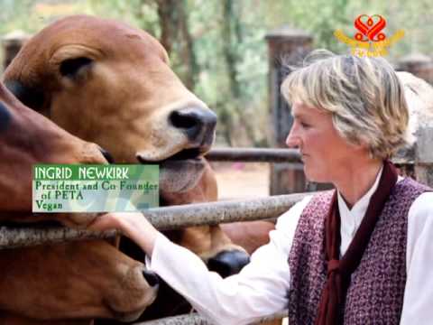 Video: Je Ingrid Newkirk vegánska?