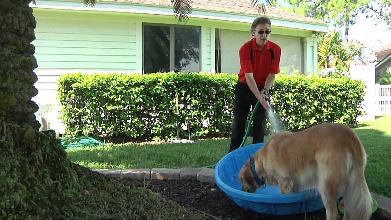 My Home | Kids Videos | Educational Songs | YouTube for Kids | Jack Hartmann