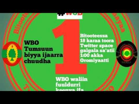 Walaloo Jaal Ejersoo Walloo Hundeeffama Jaarmiyaa T S