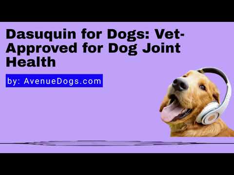 Video: Insulino šalutinis poveikis šunims