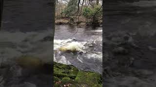 Fast river current