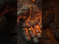 The Reach. 🖐️✨ | PoQo - Half Alive