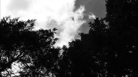 Ro-aD - Human Tree (2013)