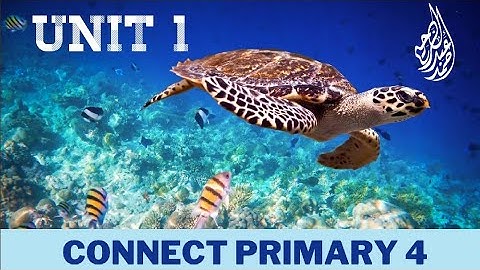 Connect primary 4: unit 1 "I feel good"