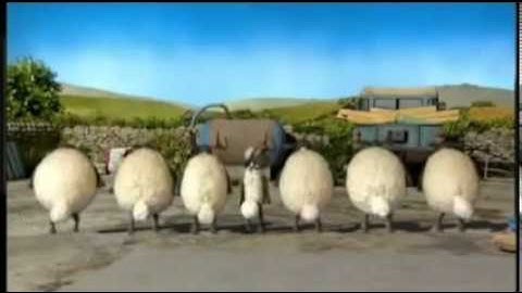 Irish Dancing Sheep