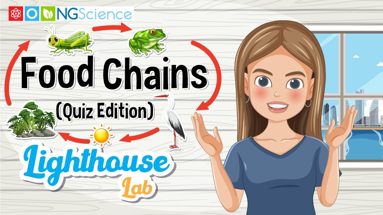 Food Chains – The Lighthouse Lab (Quiz Edition)