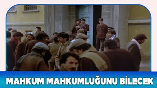 Yol Türk Filmi Mahkum Mahkumluğunu Bilecek