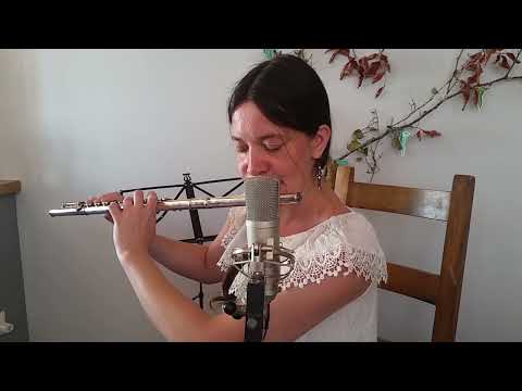Irish Music on Silver Flute  : The Chaffpool Post & Kerry Mills (barndances)