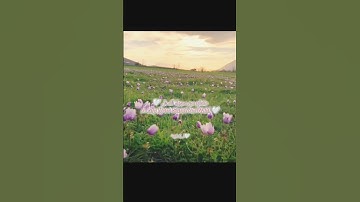 مقطع من سورة النحل 🤍🌷#سورة_النحل #مقطع_قران #قران_كريم #راحه_وطمأنينه_للقلب #الحمد_لله
