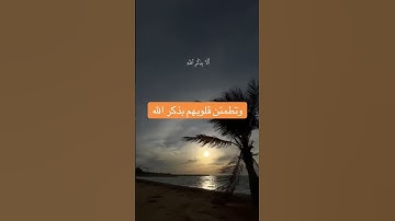{الذين آمنوا وتطمئن قلوبهم بذكر الله } #المصحف #لايك #تلاوة_خاشعة #قرآن