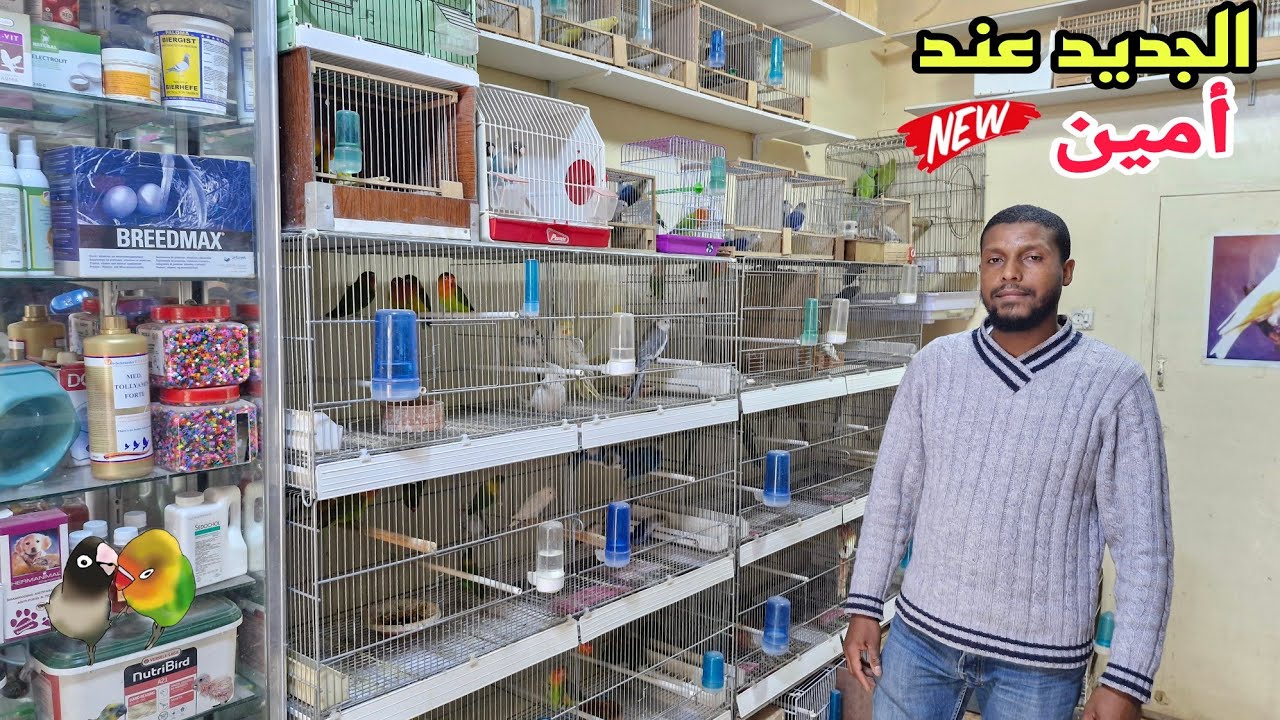 الجديد زيارة عند أمين🔥أجيو نتولعو نتعرفو على أتمنة طفرات الفيشر الروزيلا مختلف أنواع الطيور فرجة ممت