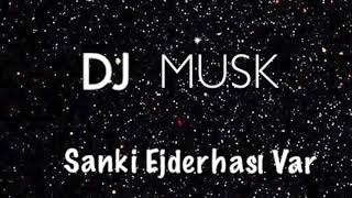 DJ Musk - Sanki Ejderhasi Var Resimi