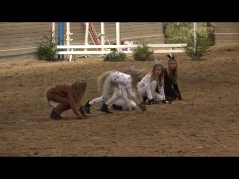 Video: Vad är Den Snabbaste Gången För Hästar?