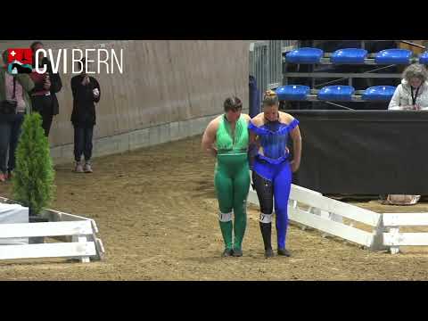 CVI Bern 2022