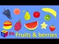 Quiz sobre el Video Tutorial
