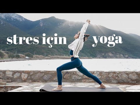 Stres İçin Yoga Pratiği ♥ Elvin ile Yoga