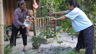 Full A mother and another woman are vying for the boy; a potential danger is unfolding. Update