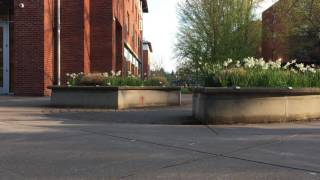 J199 Assignment #5 (audio assignment)