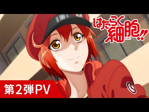 TVアニメ第2期「はたらく細胞!!」第2弾PV/2021年1月9日放送開始!