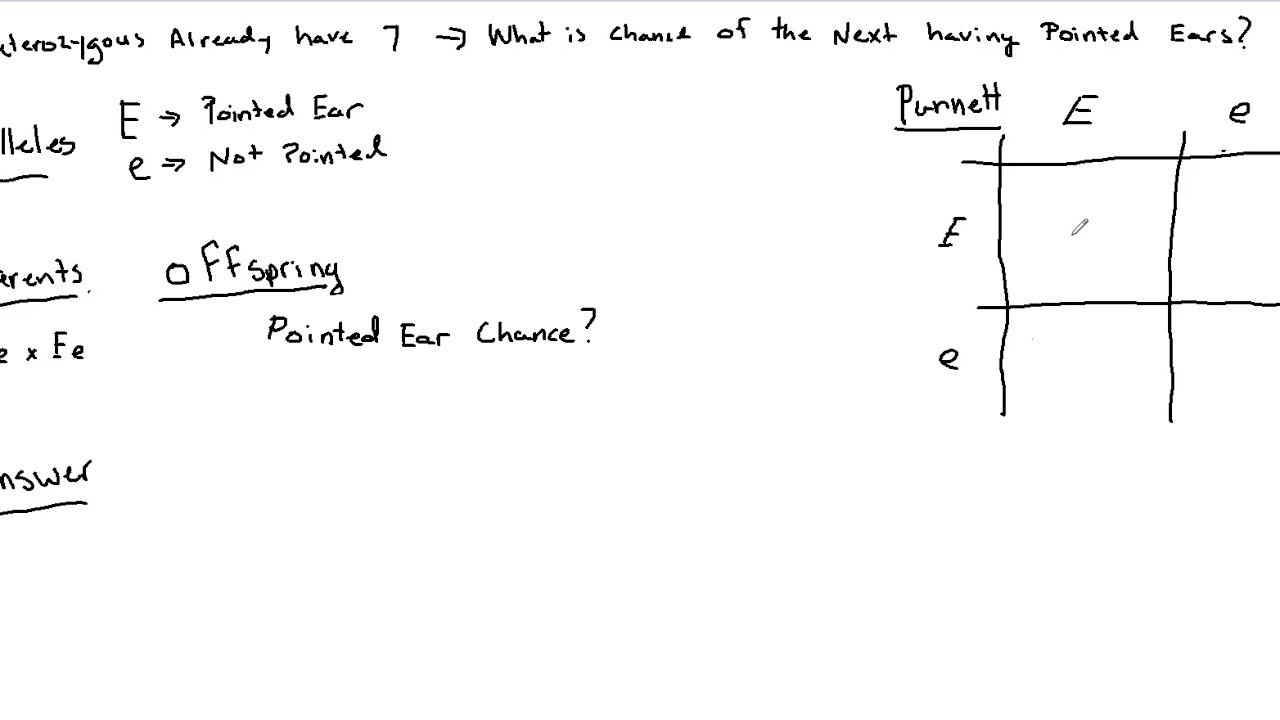 Genetics Problem Solving - Probability Problems - YouTube