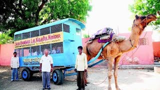 Green park at sujangarh #sujangarh #nature #vlog #yt #kdh #sujla