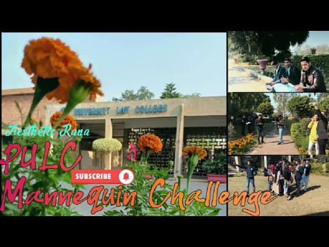 Pu Law College | PULC | Best mannequin Challenge| Aesthetic Rana| Time Stop | Khaab Society PULC