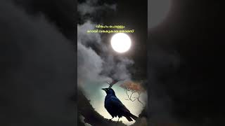 വിരഹം പൊള്ളും | Roy Varakukala Thomas | Latest Malayalam Poem | RDR SYMPHONY 