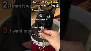 Singing cat 😺😂 Top 5 Animals Funny Moments #animals #funny #pets #cat #dog #shorts #cute #trending