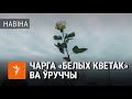 Чарга "белых кветак" ва Ўруччы | Очередь "белых цветов" в Уручье