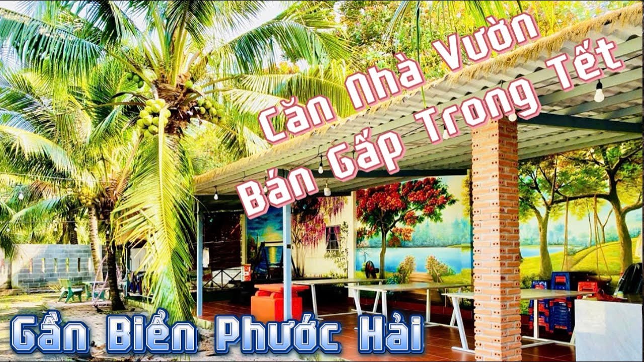 Ở Đây Mỗi Sáng Đạp Xe Ra Biển Mua hải Sản Tươi Sống Có Khi Sống Thêm Được Vài Chục Năm Anh Chị Ạ