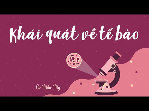 Video Khái quát về tế bào - Sinh học 10 - OLM.VN - youtube