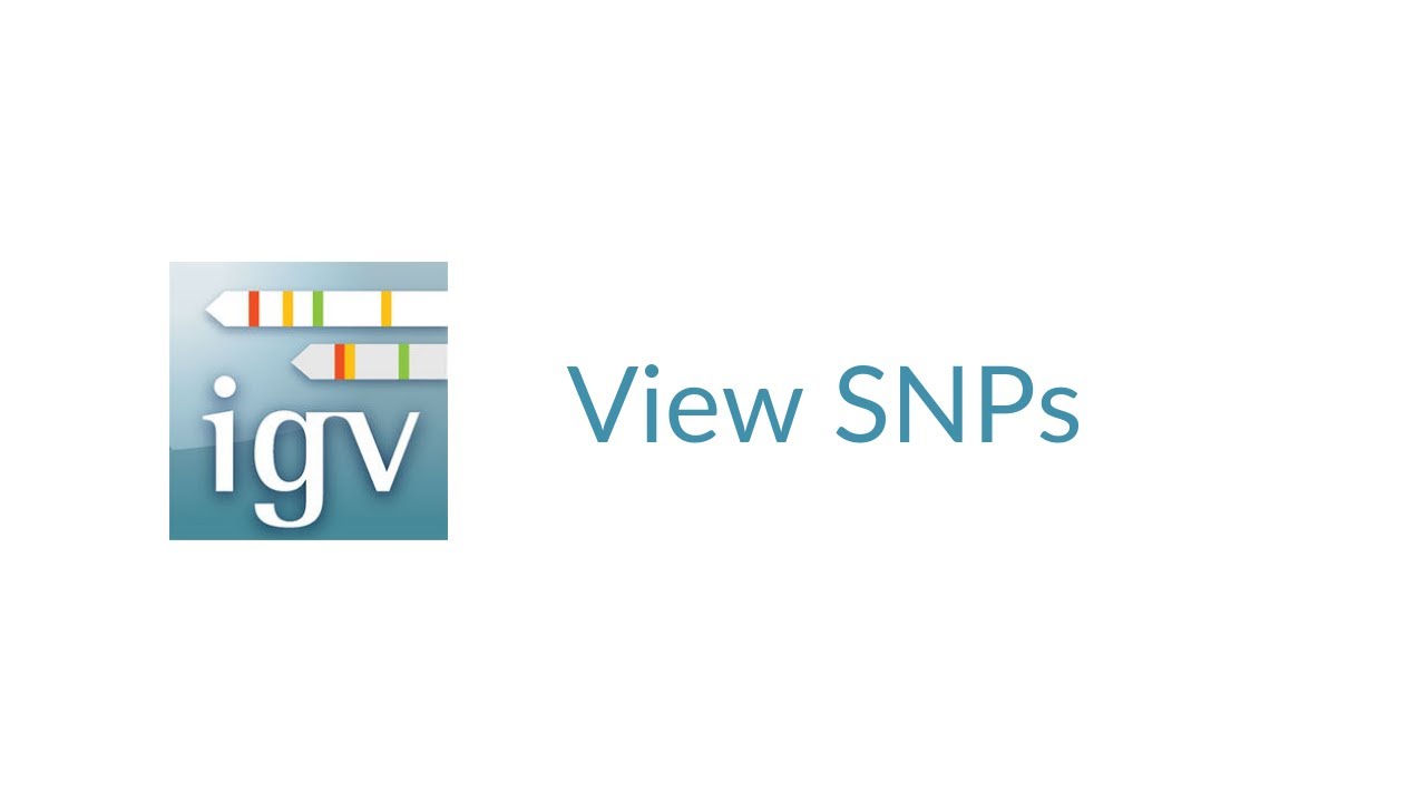 snps New Update IGV | Xem SNP | Đồng hợp tử, Dị hợp tử, Dị hợp tử