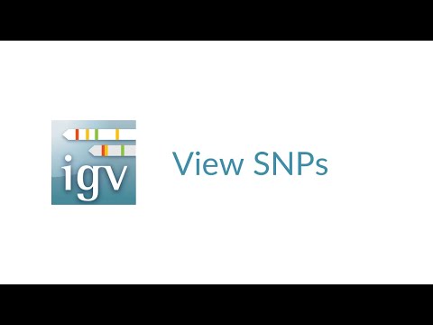 IGV | View SNPs | Homozygous, Heterozygous, Strand Bias