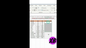 हिंदी Excel Job Interview Questions Calculate Percentage (%) of Profit & Loss in Excel हिंदी