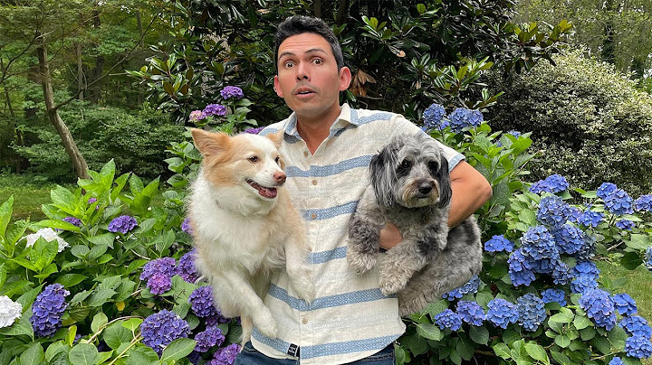 Big Life Update!