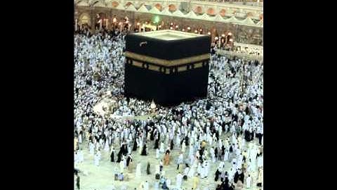 خالد الجليل ما تيسر من سورة   ق