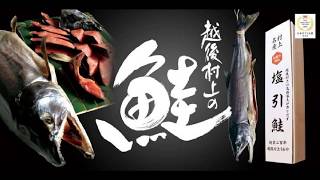 越後村上名産「塩引き鮭」　越後村上うおや