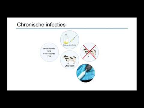 Video: Zijn Sommige Speen Desinfecterende Formuleringen Effectiever Tegen Specifieke Bacteriën Geïsoleerd Op De Speenhuid Dan Andere?