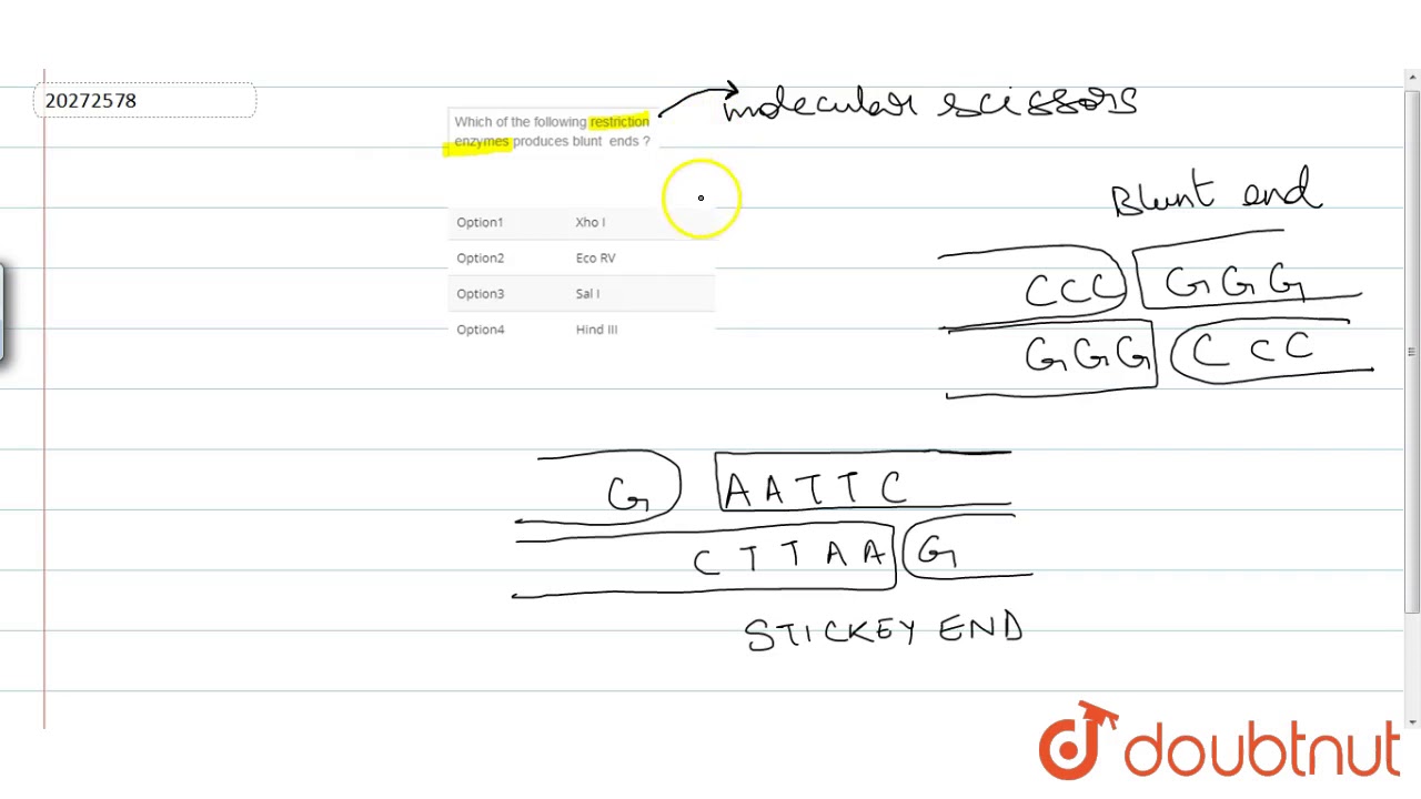 Which of the following restriction enzymes produces blunt ends ? YouTube