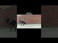 UPGRADE YOUR SELF🥊#martialartstraining#video#selfdifence#fullpunch#shorts#training#shortvideo