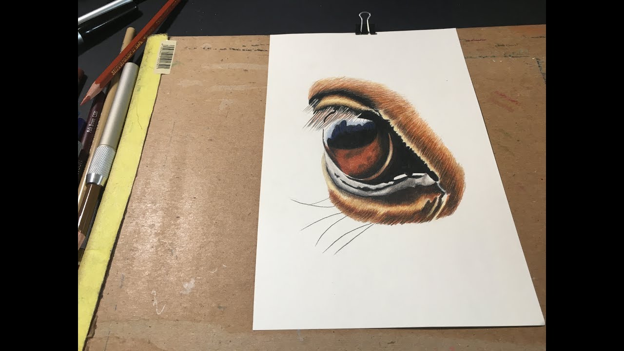 How to Draw an Eye in Colored Pencil (with Pictures) - wikiHow